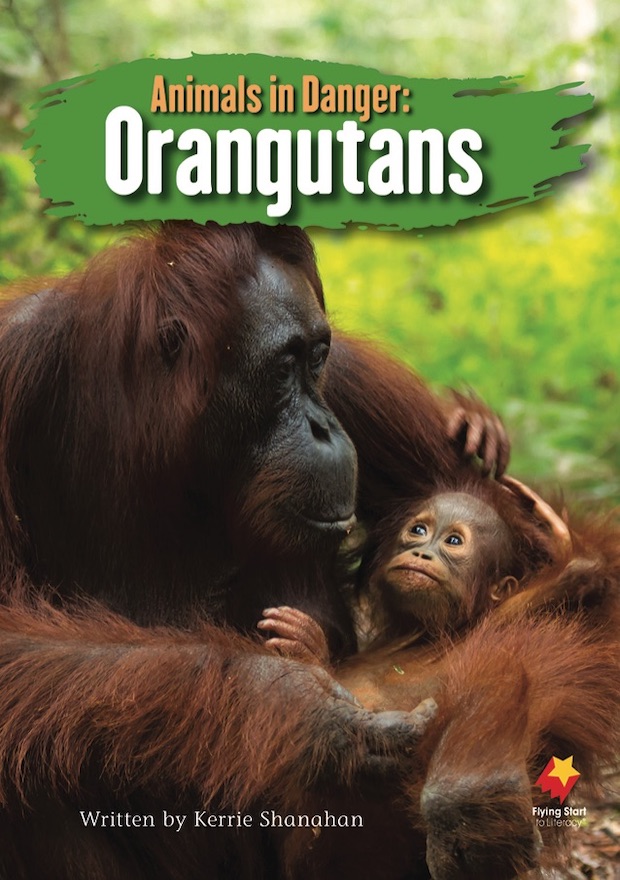 Animals in Danger: Orangutans